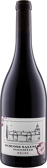 Molina Pinot Noir